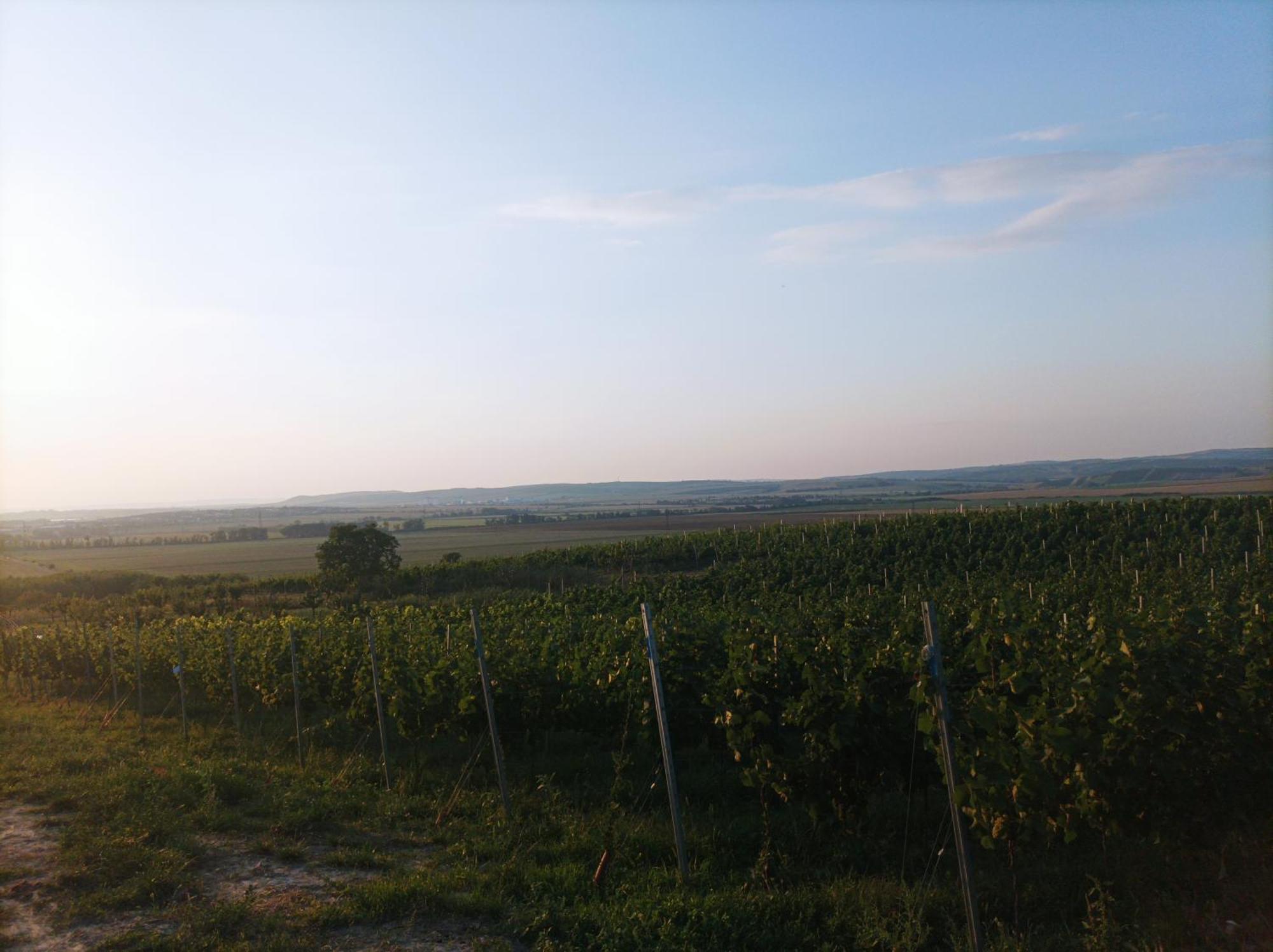 Ubytovani U Leose Zajeci Exterior foto